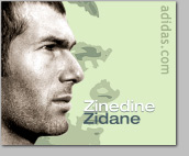 Zidane is an Adidas athlete, they are an official sponsor.